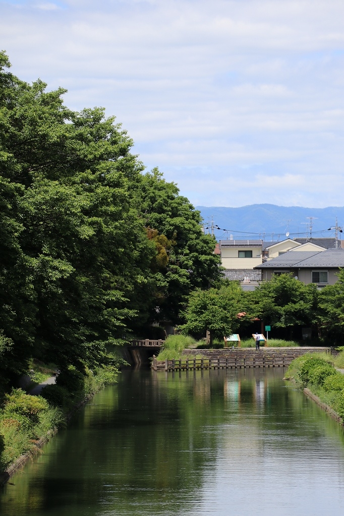 京都市伏見区の文化史跡・遺跡ランキングTOP4 - じゃらんnet