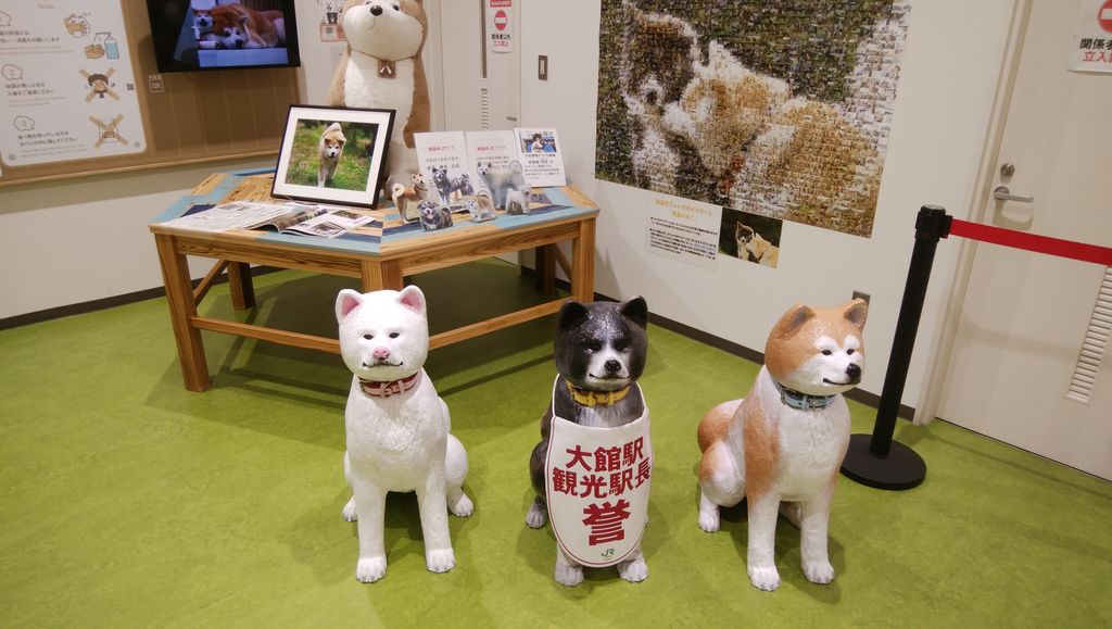 天然蝦夷鹿角、犬用おもちゃ 工芸など 18番（中型犬用 エゾ鹿