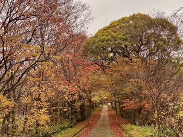 �g�t�i�ފ��_��_��E����