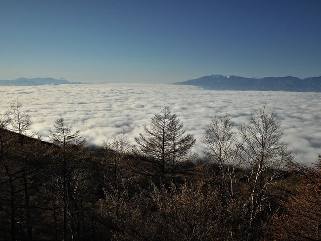 􍂌Fv̉_C@@@@@@ɕxmR@Eɔx@_􉷐