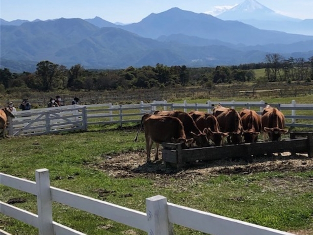 ���ƕx�m�R_����