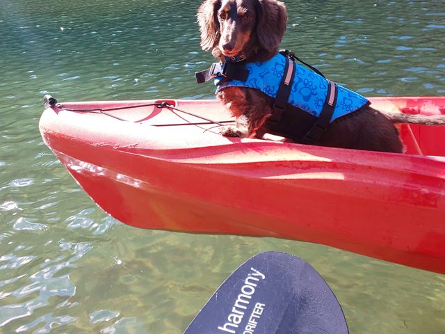 �C����������`_�l�C�`���[�v���l�b�g