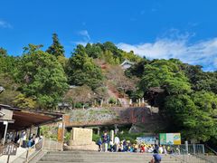 znIW̒|N[Y(Í`/i΋DD)ւ̓eʐ^1