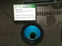 Ԃ̃}Wώ@Z^[ւ̓eʐ^1