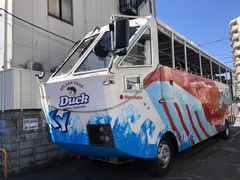 ჊S2KăI[voXwXJCoXxEpoXwXJC_bNxւ̓eʐ^1