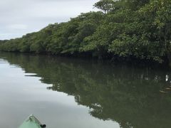 }O`̐\Jk[cA[̂тՂՂûՂvւ̓eʐ^1