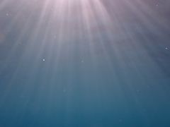 [񂳂marine assist DEMIւ̓eʐ^1