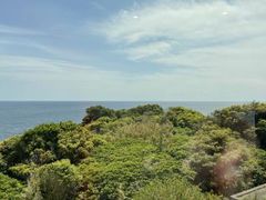 �Ȃׂ�������̂΂��ւ̓��e�ʐ^1