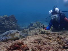 ܂܂܂܂񂳂̃RY~bNA[Xւ̓eʐ^1