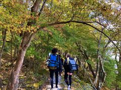 񂷂One Play-it(vCgj@|ELhAEghǍւ̓eʐ^1