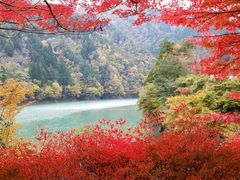 ウッチョンさんのみどり湖（愛知県豊根村）への投稿写真1