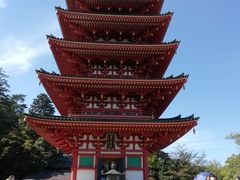 金剛寺 高幡不動尊 の口コミ一覧 じゃらんnet