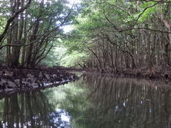 ̐\AWcA[KAGUYAւ̓eʐ^1