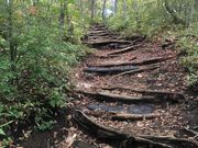 ꍂMT̈Ɗ|Ri茧sj̓eʐ^2