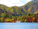 くんすけさんの中禅寺湖への投稿写真3