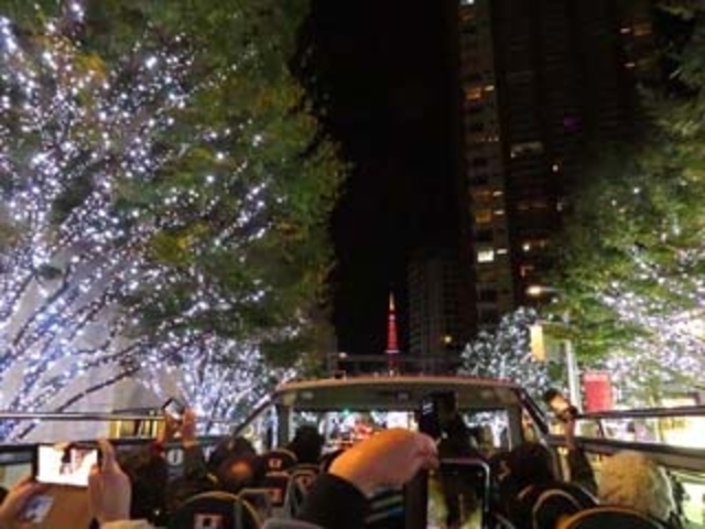 �Z�{�؃q���Y�A�O��̔��F���u���|�n�̃C���~�l�[�V����_2�K���ăI�[�v���o�X�w�X�J�C�o�X�x�E�������p�o�X�w�X�J�C�_�b�N�x