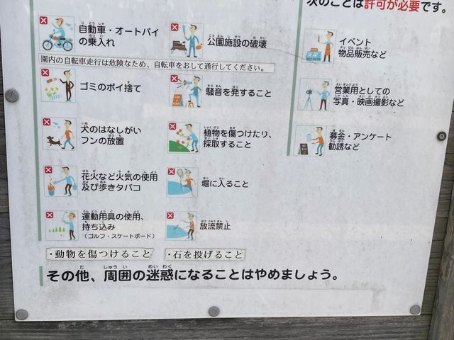 �F�s�{�隬����_�F�s�{�隬����