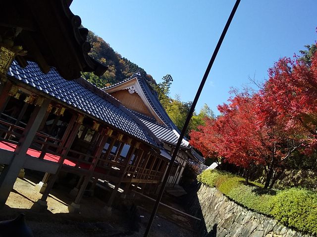 ���R��y�@���{�R������