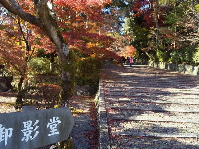 ���R��y�@���{�R������