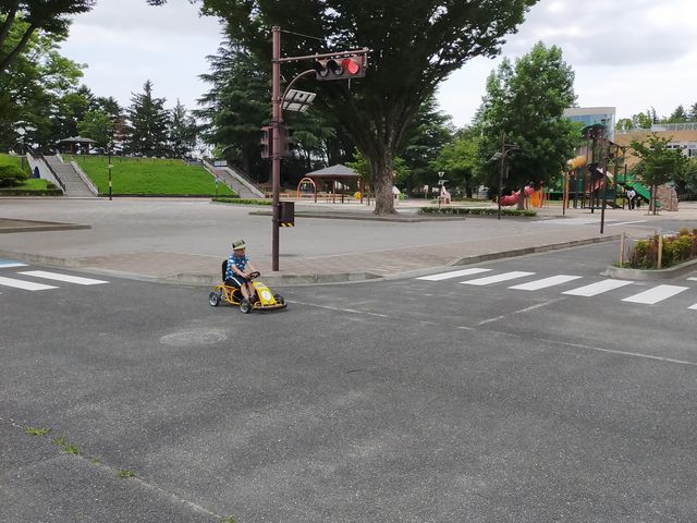 �������J�[�g_�O���s���������Z���^�[