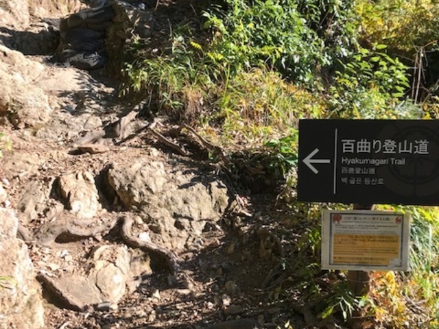 �S�Ȃ���o�R���̓����_���؎R