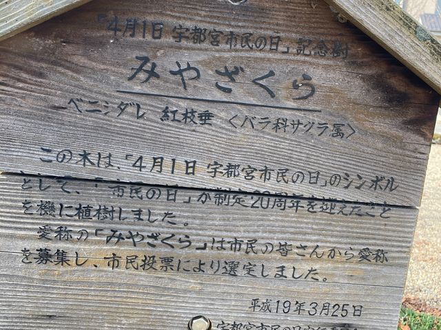 �F�s�{�隬����_�F�s�{�隬����