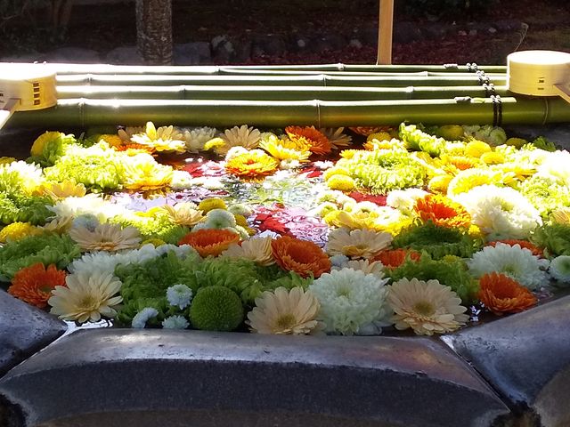 ���R��y�@���{�R������