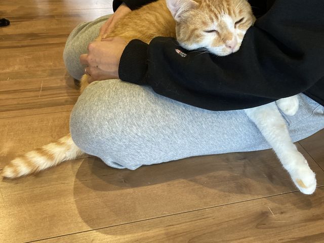 �������B�B_���났�Ö��Ɓ@�܂ߔL