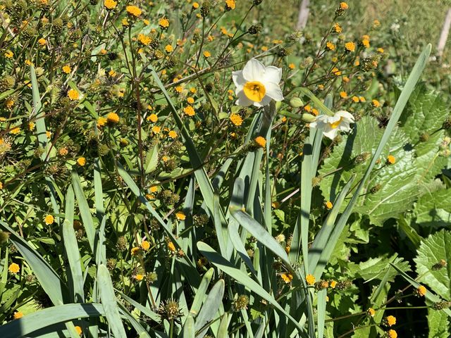 ���傪�炢�Ă��܂����B_�O�x��