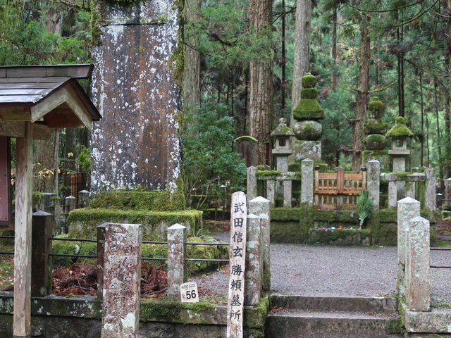 ���c�M�����q�̕�_���V�@