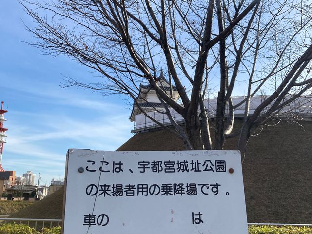 �F�s�{�隬����_�F�s�{�隬����