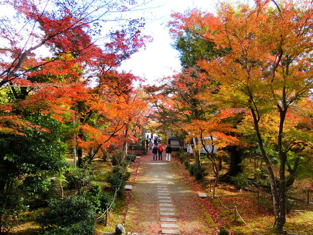 ��Z���̍g�t