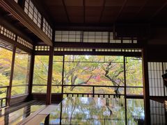 Ƃ񂳂̗ڗ@ւ̓eʐ^1