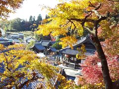 ���܂�����̖��J�ω��k�J���ւ̓��e�ʐ^1