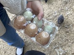 񂳂̖Cx[p[Nւ̓eʐ^1