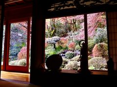 �V���R����񂳂�̋ʗ����ւ̓��e�ʐ^1