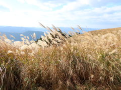 yosshyさんの生石高原（和歌山県有田川町）の投稿写真3