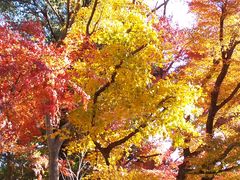 ���܂�����̖��J�ω��k�J���ւ̓��e�ʐ^1