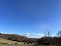 肵ႳRiding Club Jobardߐ{ւ̓eʐ^1