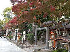 なえさんの八坂神社（京都府京都市）への投稿写真1