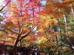 ���܂�����̐��R��y�@���{�R�������ւ̓��e�ʐ^1