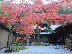 jR񂳂̈bώRւ̓eʐ^1