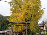 yosshy̒Oa_Ђ̓eʐ^2