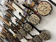 т̂񂵂񉮁@H[̓eʐ^1