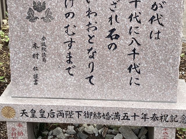 �����_��_�����_��