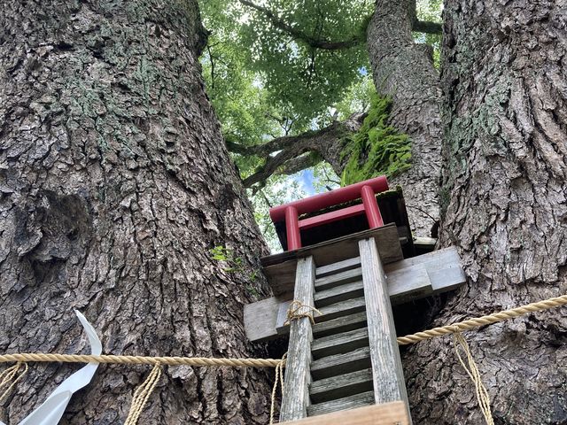 �����_��_�����_��