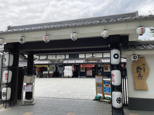 ���̔n��@��ʉ������ό��ē���_���̔n��@��ʉ������ό��ē���