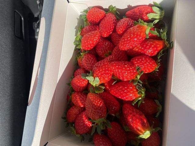 ���y�Y�Ŕ������������ł�_�������̉���