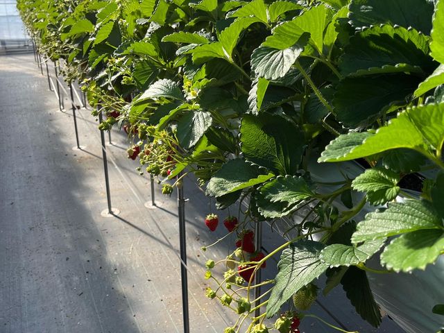 �n�E�X�̒��͏����ł����A�㒅���������ꏊ������܂���_�n糂�������