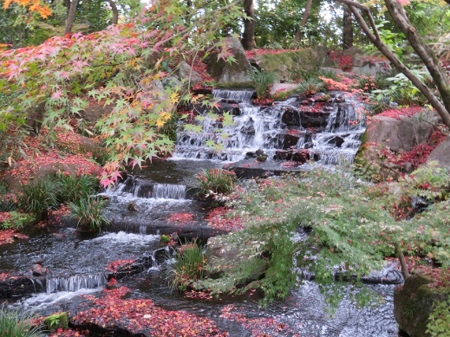 �g�t�c����_�D�É�